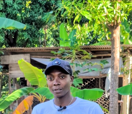 Élevage de poulet de chair : Le pari audacieux de trois étudiants à Jacmel Billy Fils dans sa ferme agricole d'élevage de poulet de chair.