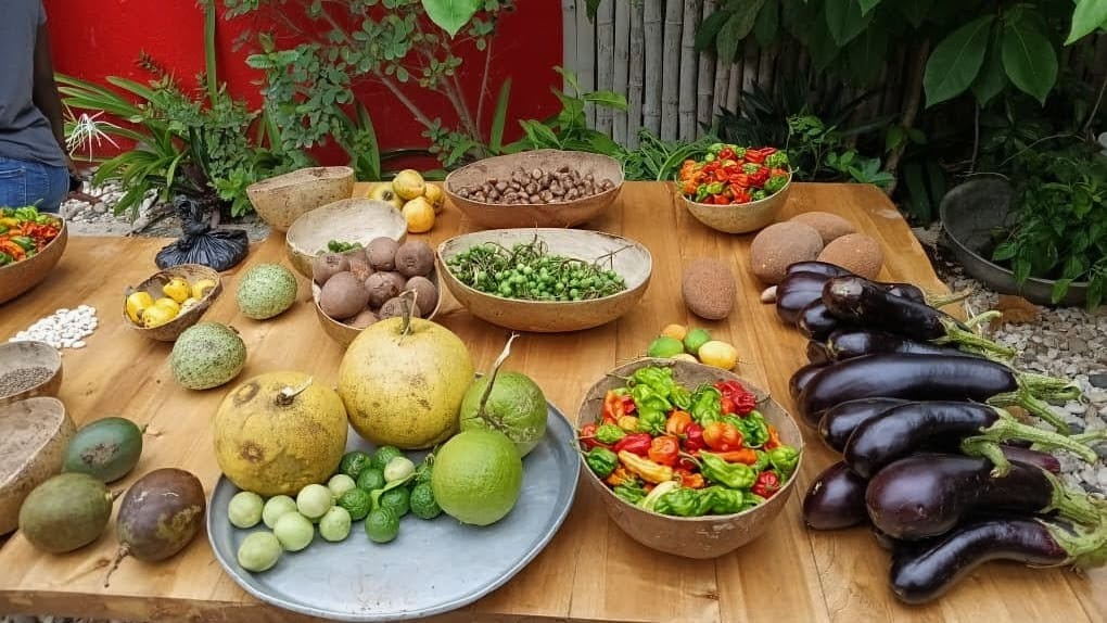 Produits agricoles locaux exposés place Toussaint Louverture Jacmel — légumes, fruits et épices haïtiens fête patronale 2026